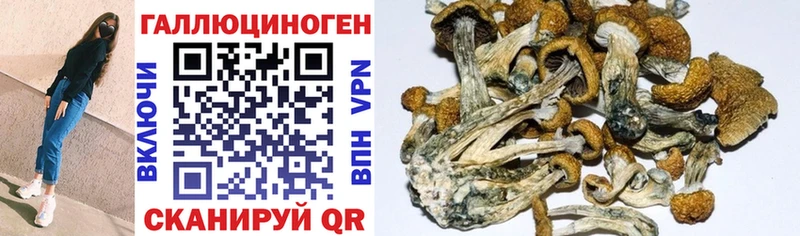 Галлюциногенные грибы MAGIC MUSHROOMS  Ершов 